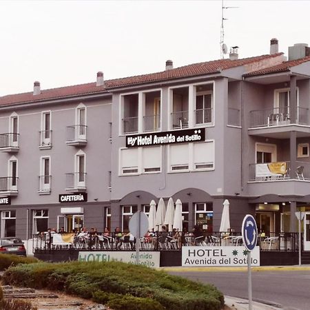 Hotel Avenida del Sotillo La Lastrilla Esterno foto